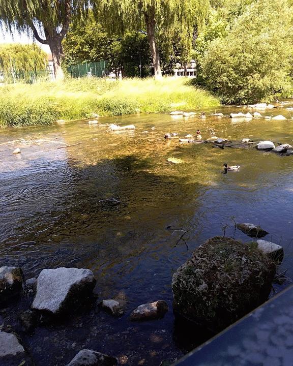 Biergarten Unter Den Linden