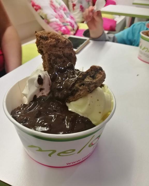 meloonia Frozen Yogurt