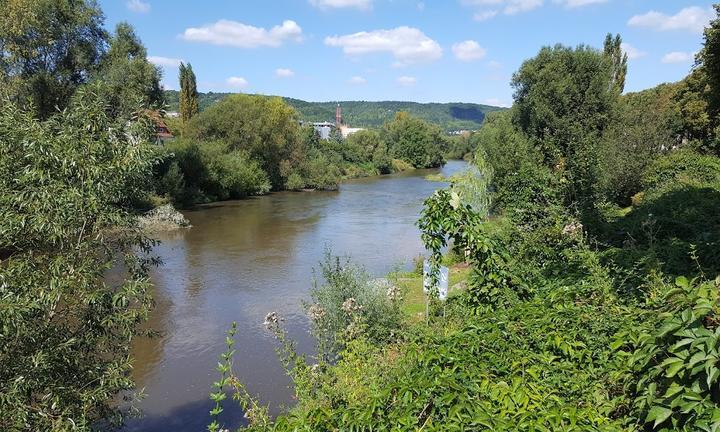 Das Restaurant Grune Tanne