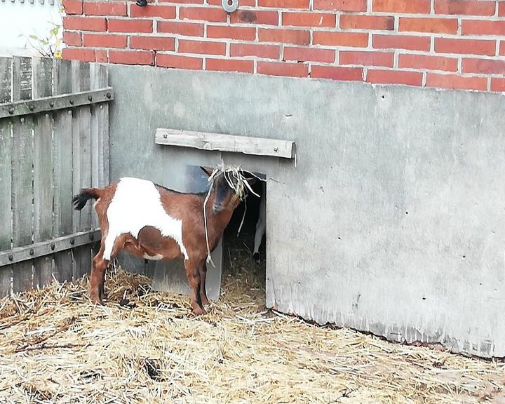 Bauer Uwes Lutje Deel