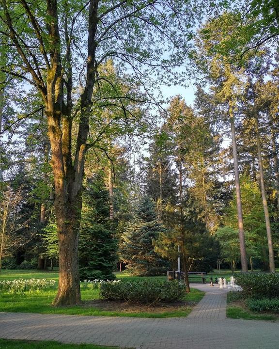 Weinbrunnen Im Kurpark